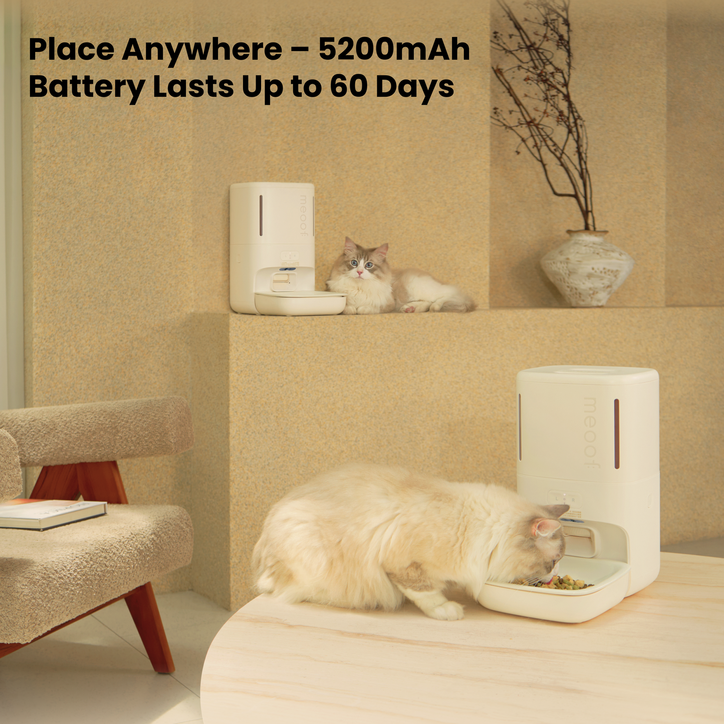 Mousse Smart Pet Feeder