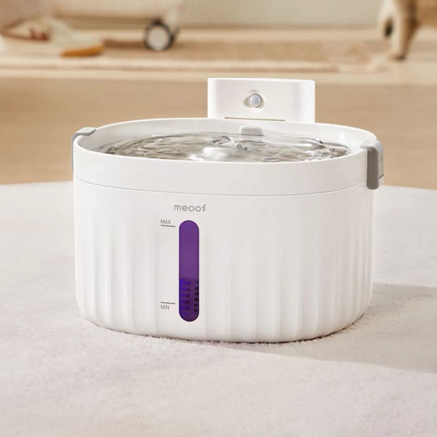 Wiress Pet Water Fountain