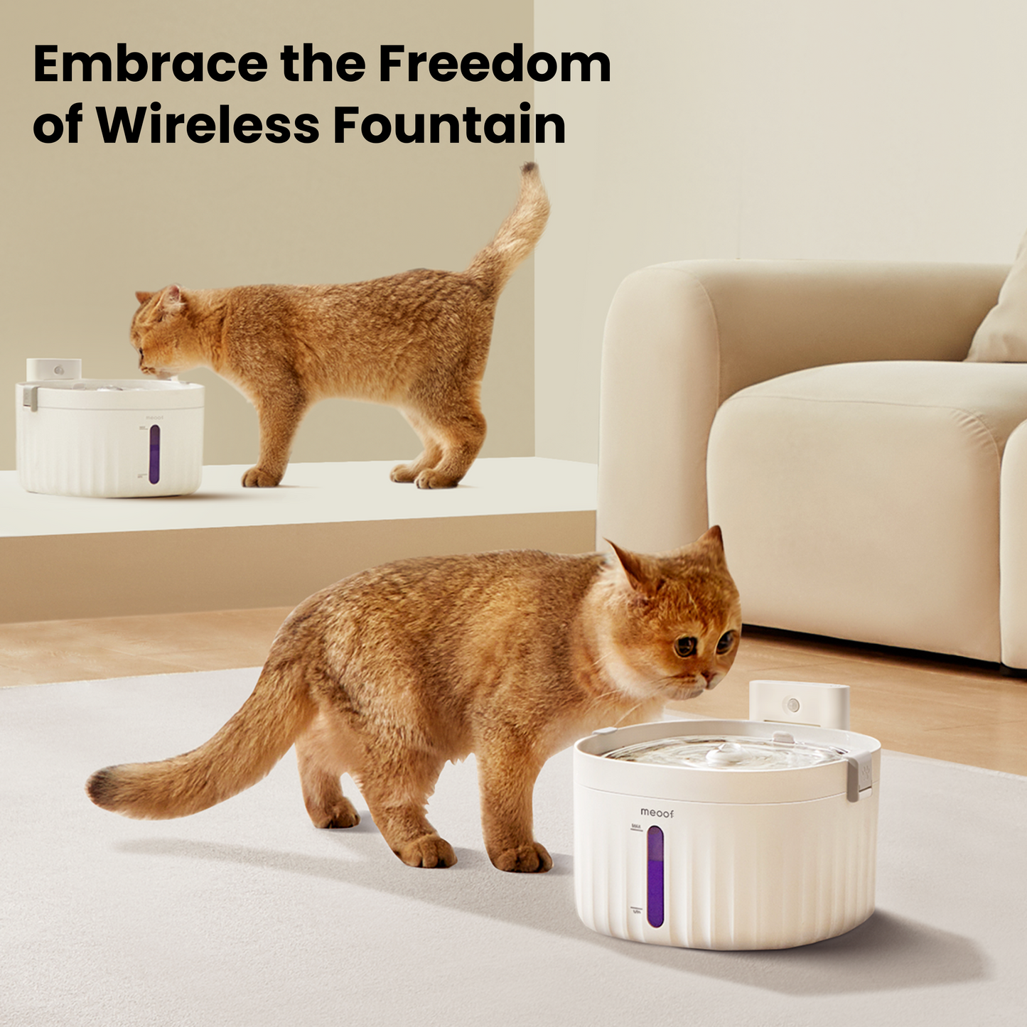 Wiress Pet Water Fountain