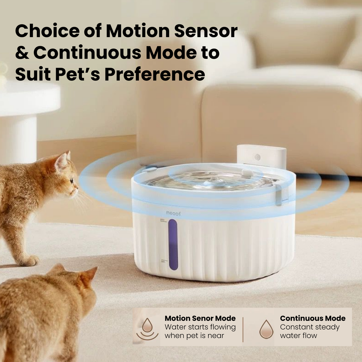 Wiress Pet Water Fountain