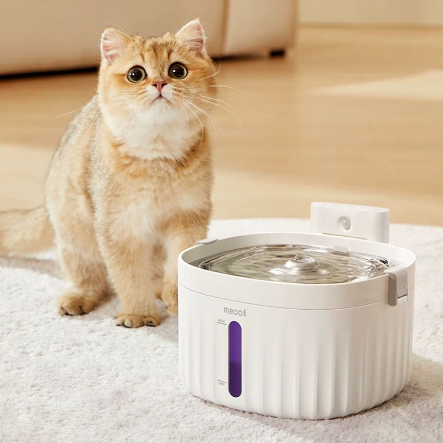 Wiress Pet Water Fountain